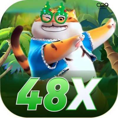 48x 48x
