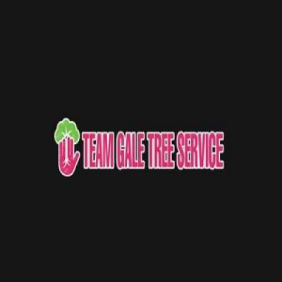 Team Gale Tree Service