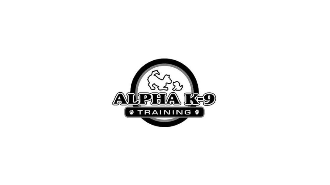 Alpha K-9 Dog Training - #1 Group Dog Training in Honolulu, HI