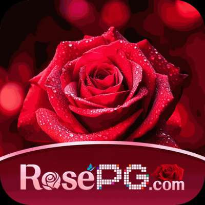 rosepg rosepg