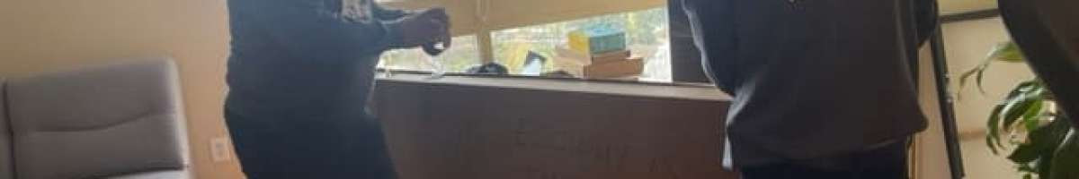 Ecoway Movers Ajax ON 