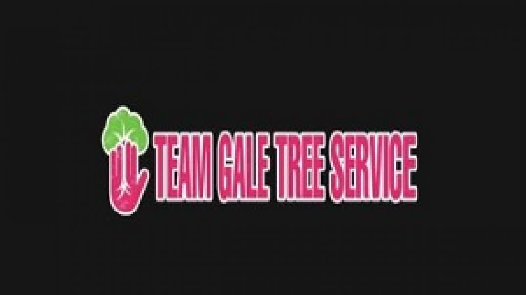 Team Gale Tree Service in Cinnaminson, NJ | (856) 393-7223
