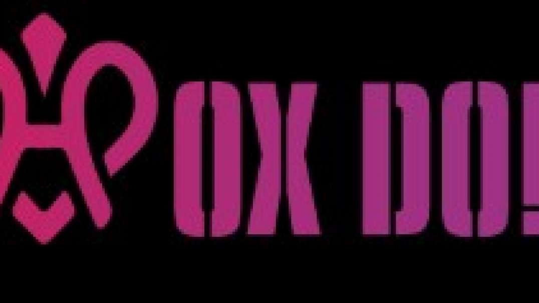 Mini Sex Dolls Online | Hoxdoll.com