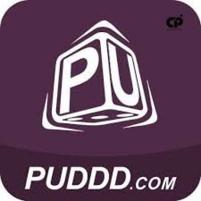 puddd puddd