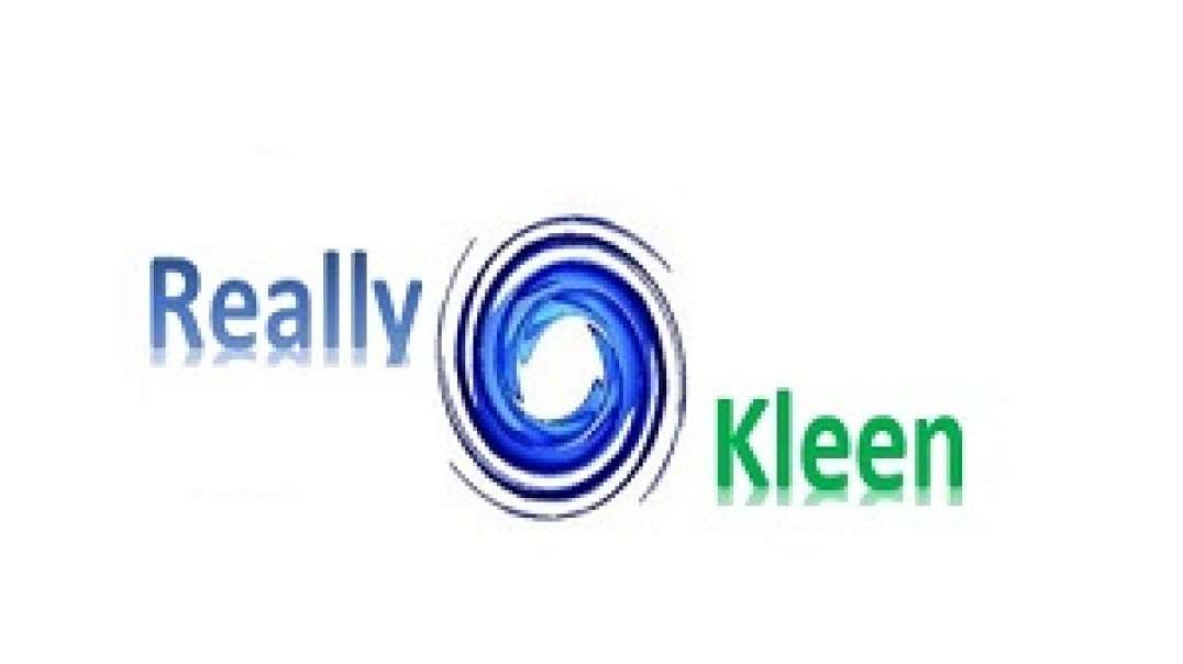 Really Kleen - Soft Washing Company in Houston, TX