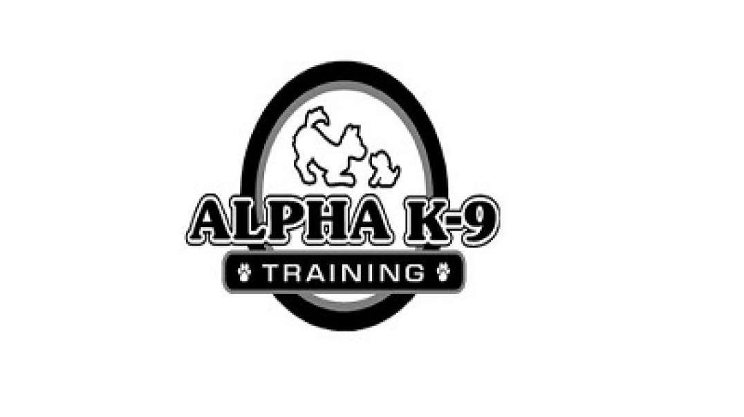 Alpha K-9 | Advanced Dog Training in Honolulu, HI