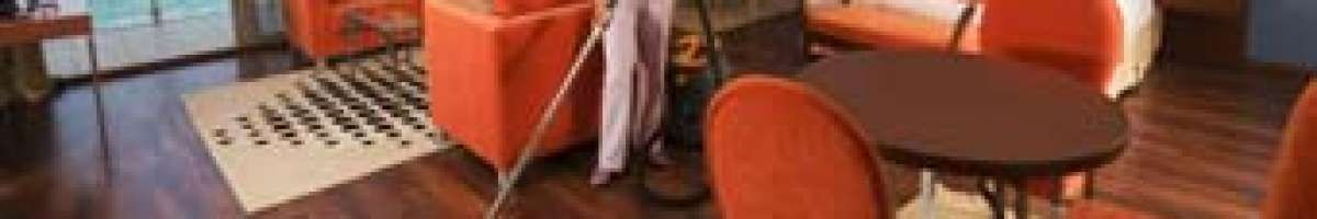 Bee-Dazzled Cleaning Service 