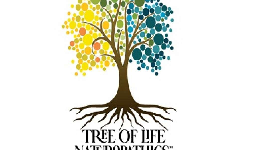 Tree Of Life Naturopathics - Certified Holistic Health Practitioner Telehealth