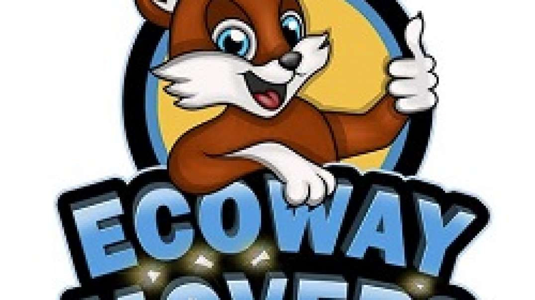 Ecoway Movers - Experienced Mover in Peterborough, ON